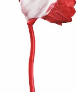 L?Or?al Paris L'Or Al Paris Revitalift Cicacr Me Anti Rimpel Nachtcr Me - 50 Ml 16 L?Or?al Paris L'Or Al Paris Revitalift Cicacr Me Anti Rimpel Nachtcr Me - 50 Ml -Maybelline-winkel 341x840 3