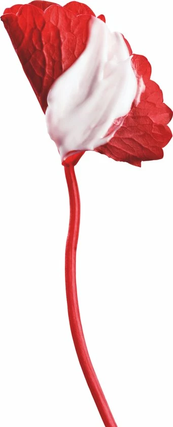 L?Or?al Paris L'Or Al Paris Revitalift Cicacr Me Anti Rimpel Nachtcr Me - 50 Ml 6 L?Or?al Paris L'Or Al Paris Revitalift Cicacr Me Anti Rimpel Nachtcr Me - 50 Ml - Afbeelding 4