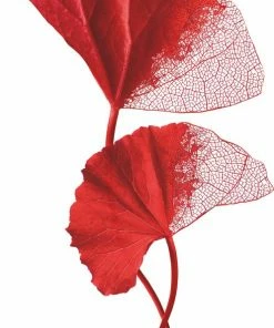 L?Or?al Paris L'Or Al Paris Revitalift Cicacr Me Anti Rimpel Nachtcr Me - 50 Ml 17 L?Or?al Paris L'Or Al Paris Revitalift Cicacr Me Anti Rimpel Nachtcr Me - 50 Ml -Maybelline-winkel 497x840 1