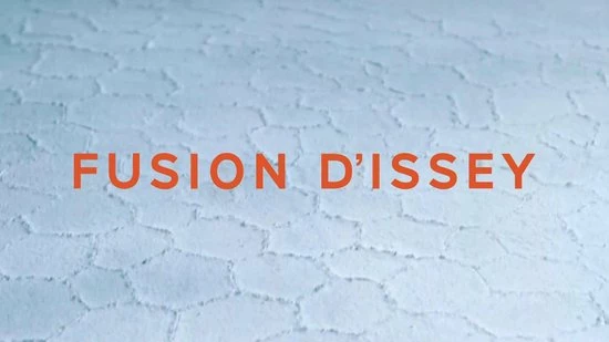 Issey Miyake Fusion D'Issey Eau De Toilette Spray 50 Ml 4 Issey Miyake Fusion D'Issey Eau De Toilette Spray 50 Ml - Afbeelding 2