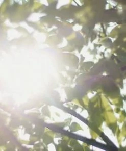 GUAPÀ® Base Coat En Top Coat | Gelnagels | Acryl Nagels | Soak Off Base Gel & Soak Off Top Gel | Nagels -Maybelline-winkel 550x309 24