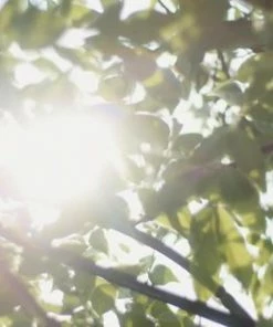 GUAP?? GUAP Acryl Nagels Dip Poeder Starterskit | Dip Powder | Dipping Acryl Poeder | Acryl Nagels Starterspakket | Galaxy #059 -Maybelline-winkel 550x309 3