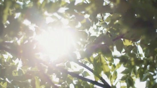 GUAP?? GUAP BIAB Builder Gel In A Bottle Nagelset | Gelnagels Starterspakket | Nagellak | Gellak | Builder Gel | 5 X 15 Ml BIAB Met Kleur 4 GUAP?? GUAP BIAB Builder Gel In A Bottle Nagelset | Gelnagels Starterspakket | Nagellak | Gellak | Builder Gel | 5 X 15 Ml BIAB Met Kleur - Afbeelding 2