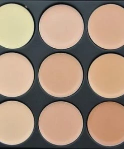 Evvie Concealer & Foundation Palette - 15 Kleuren -Maybelline-winkel 550x327 1