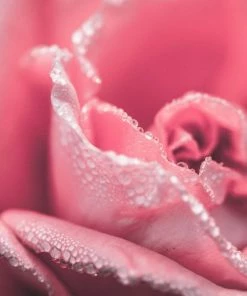 AirVal Parfumset Voor Kinderen Eau My Unicorn (3 Pcs) -Maybelline-winkel 550x550 206