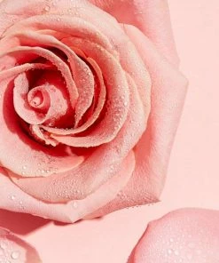 Garnier Skinactive Micellair Reinigingswater Met Rozenwater - 400 Ml -Maybelline-winkel 550x550 299