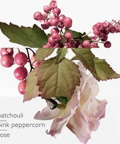 Herm?s Hermes - Twilly D'Herm S Eau Poivree - Eau De Parfum - 50ML -Maybelline-winkel 550x606 1