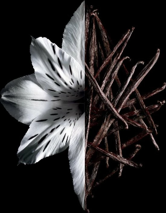 Givenchy - Eau De Parfum - L´Interdit Intense - 35 Ml 7 Givenchy - Eau De Parfum - L´Interdit Intense - 35 Ml - Afbeelding 5